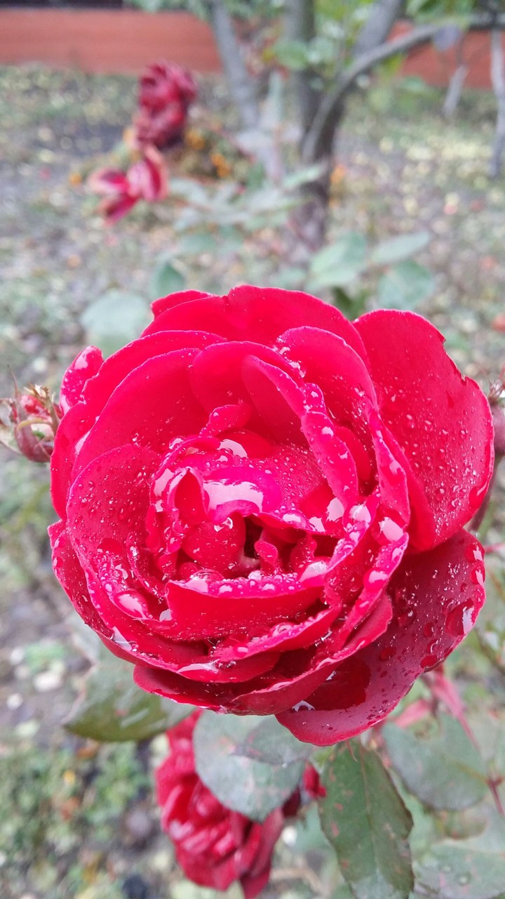 rain day