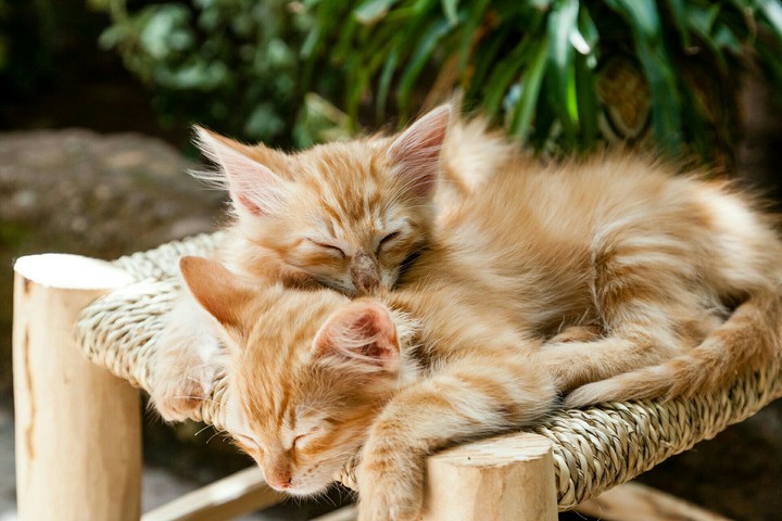 full of kindness!