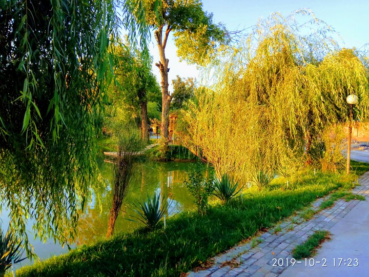 осень в Ташкенте  autumn in Tashkent