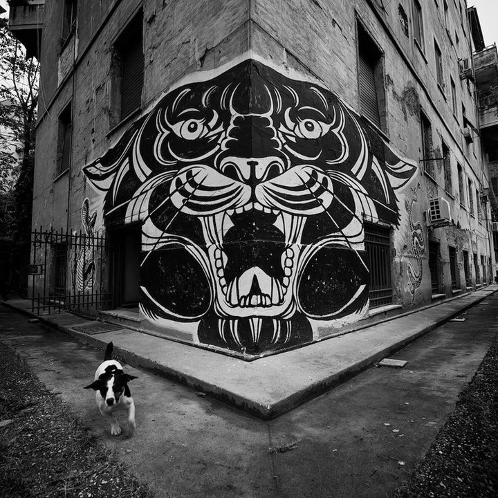 Tiger Graffiti