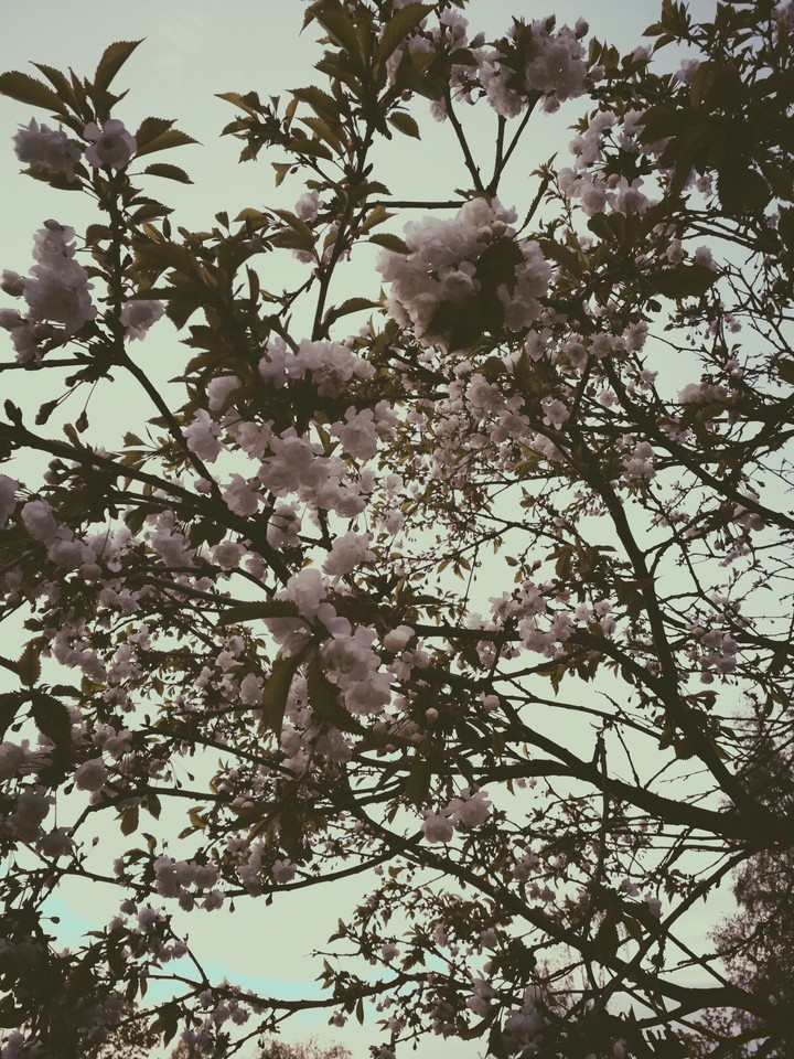 Spring feeling