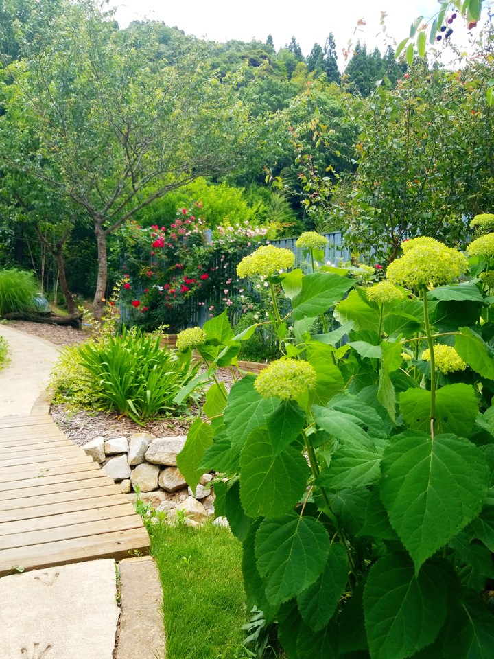 garden
