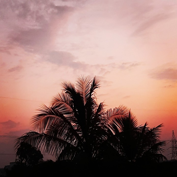 great evening