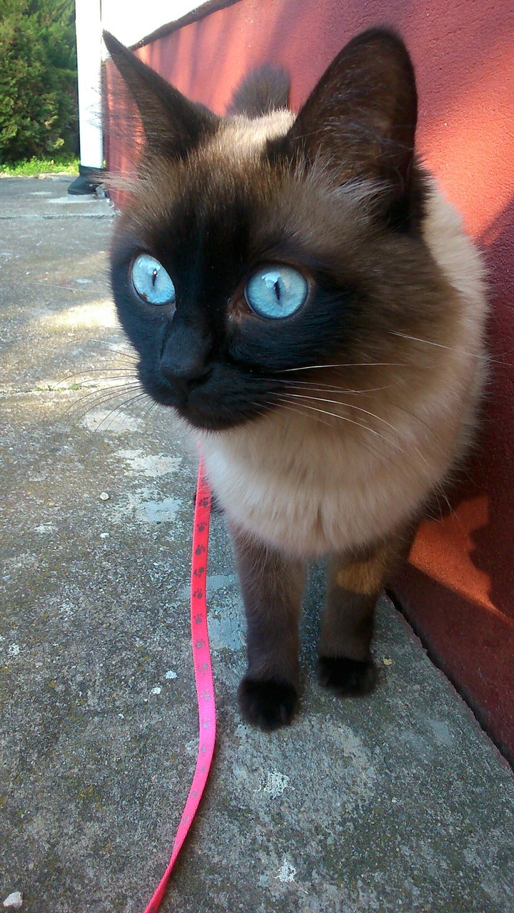 Blue eyes.