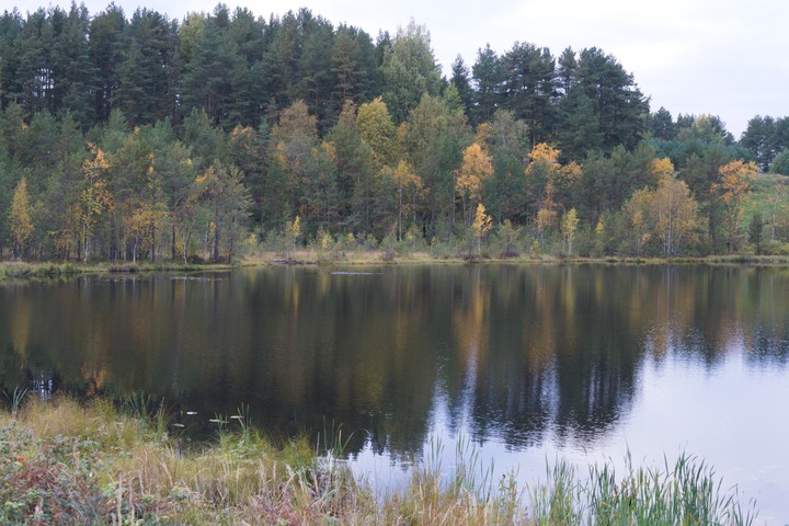 Поход ЛО