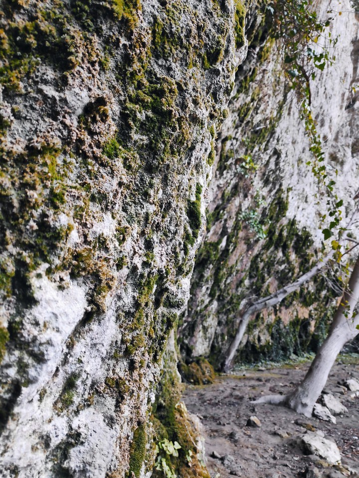 cold rocks