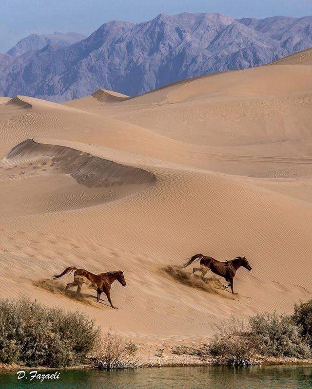 سبحان الله