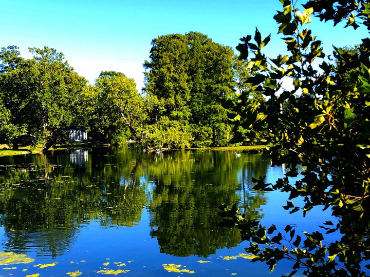 Spring Grove 1