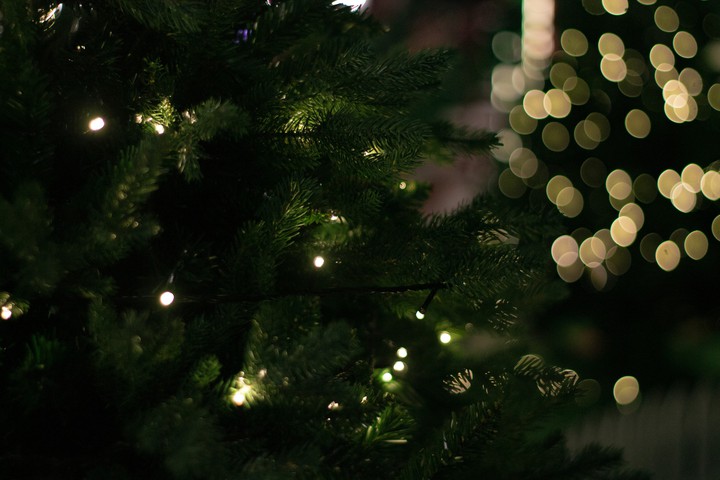 Xmas tree ?