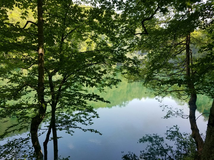 Serenity