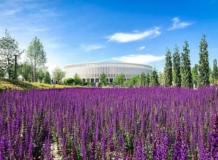 Krasnodar