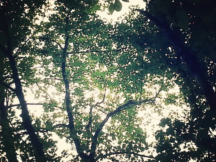 × Nice day outside ×