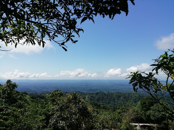 Nature