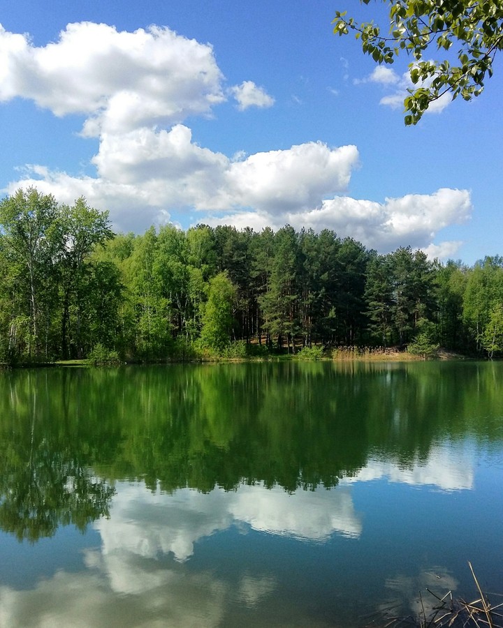 Wonderful water reflection