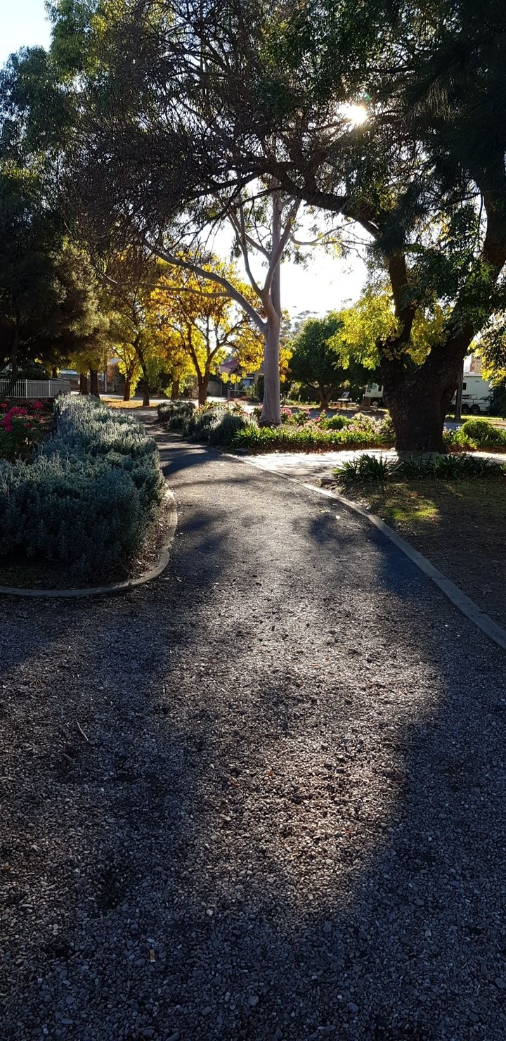 pathway