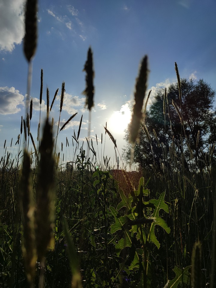huzurun en doğal hali