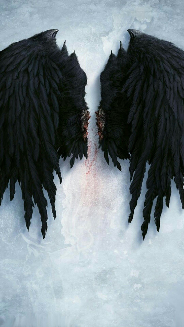 Black wings