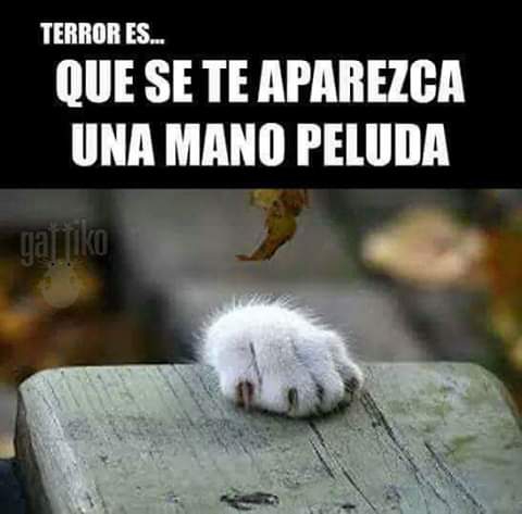 Terror ?
