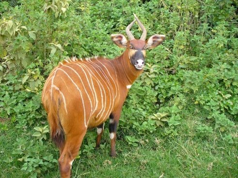 wildlife sanctuary