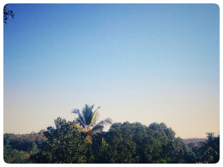 good morning