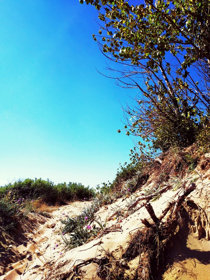 sunny beach