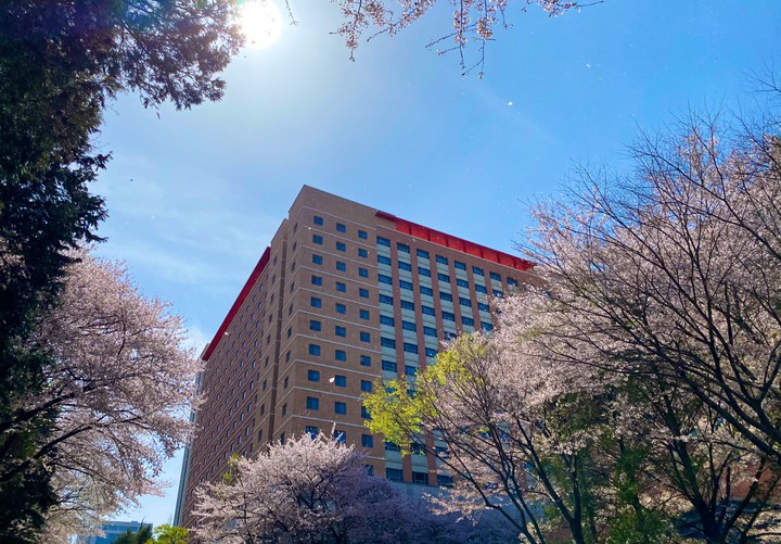 spring4