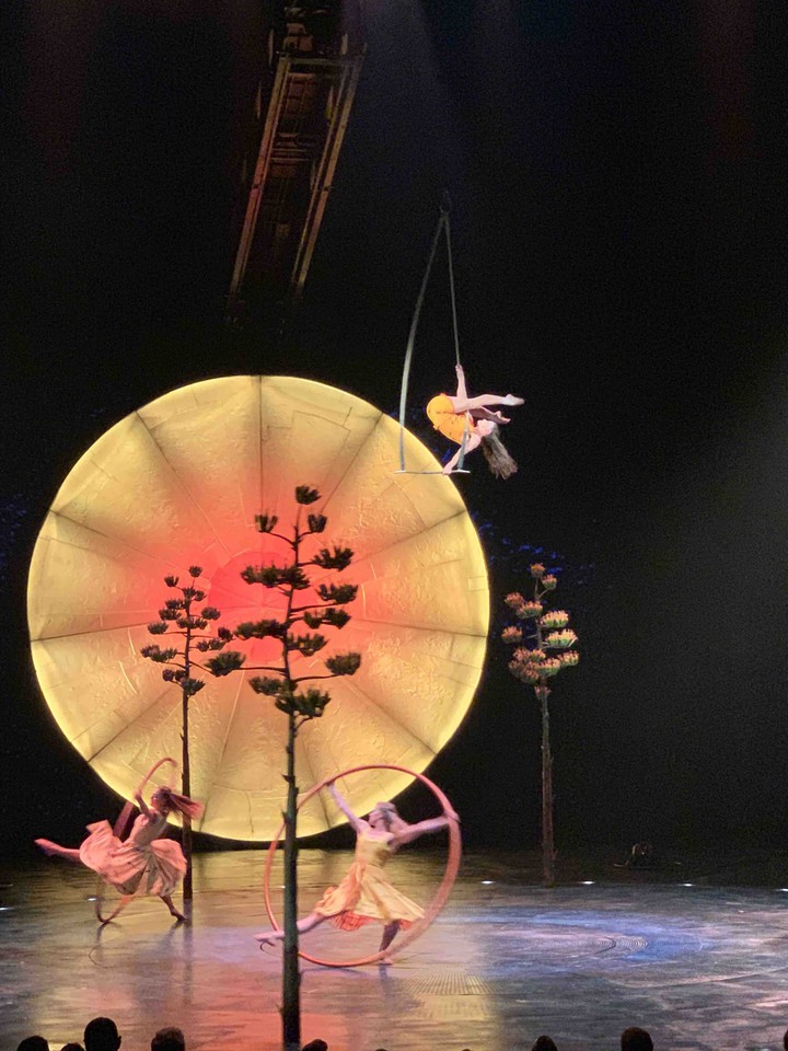 Circus Troup