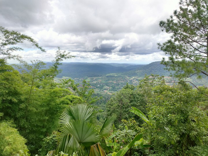 Beautiful Nature