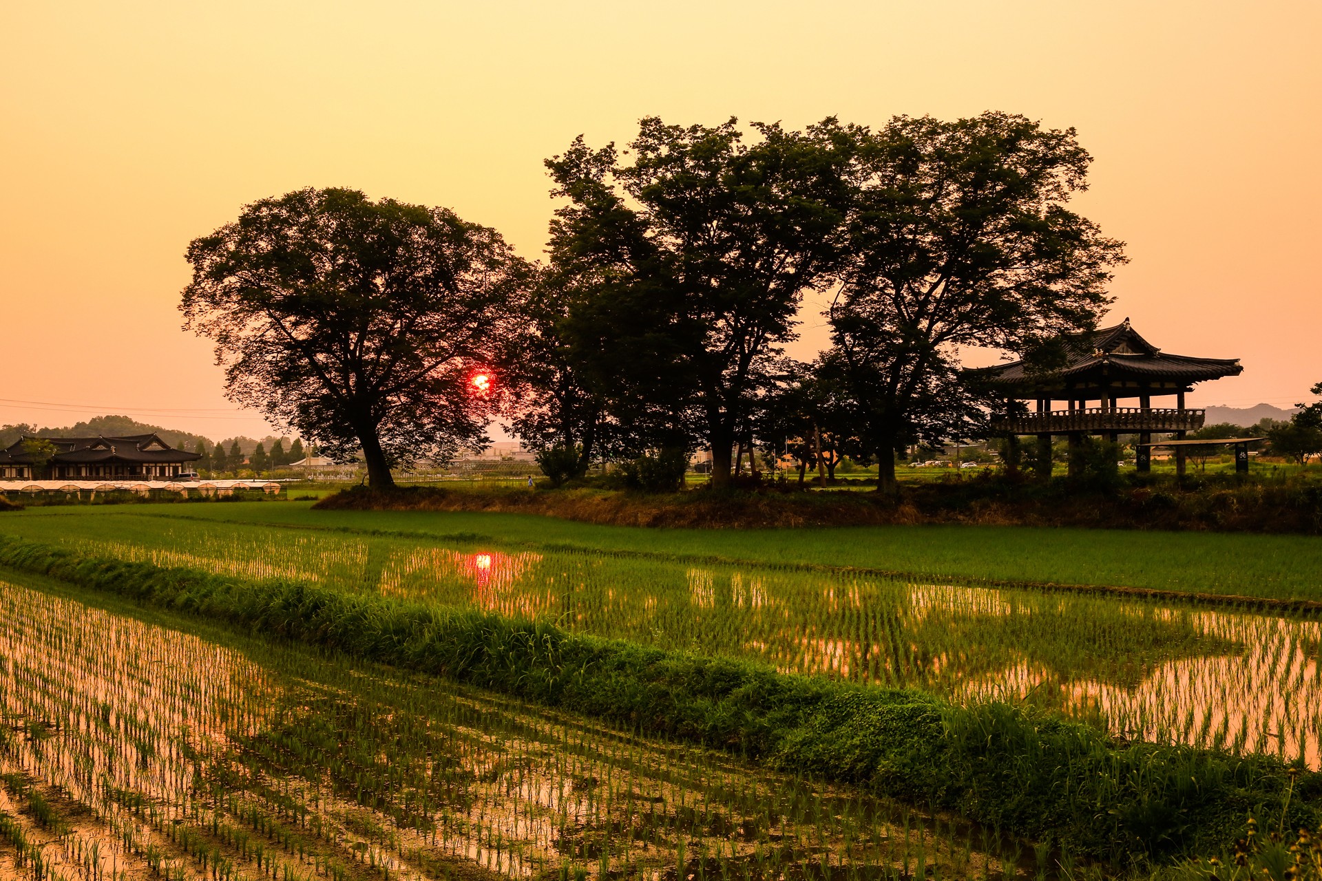 Tranquil farming village