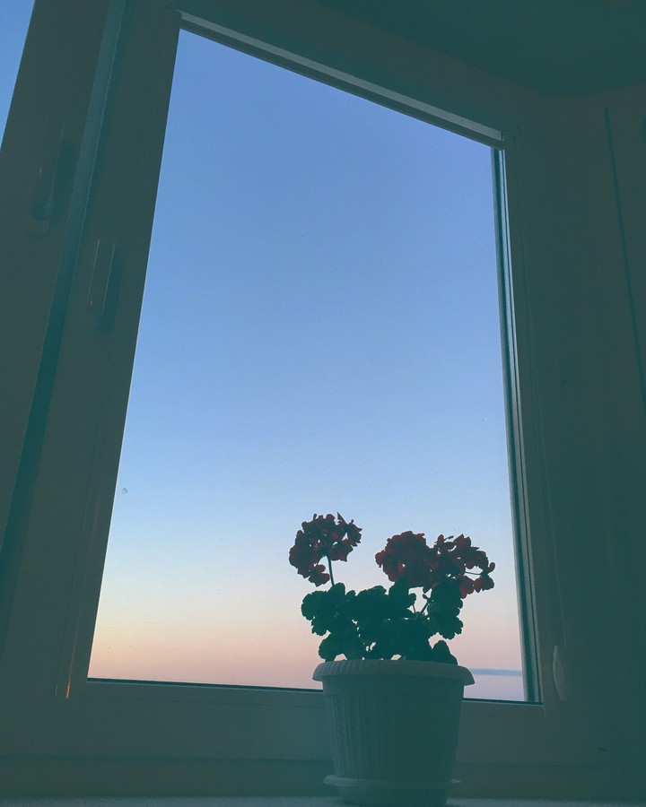 evening