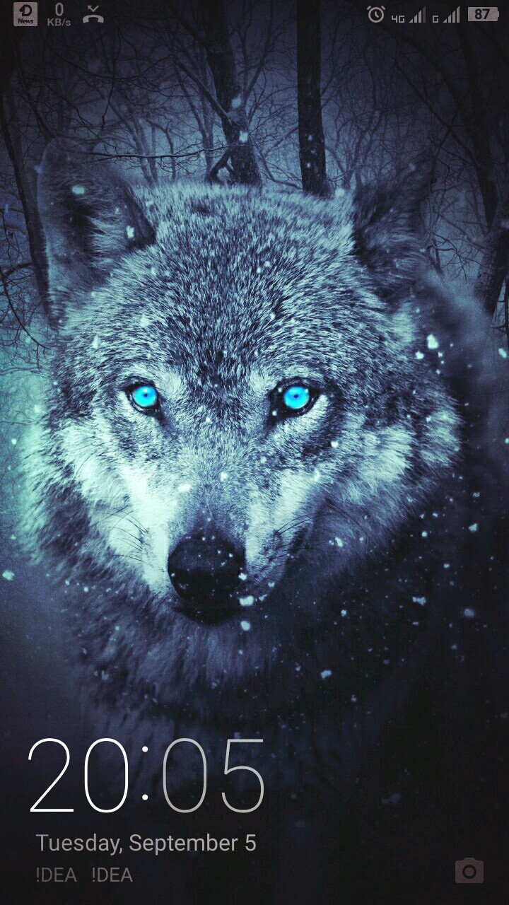 animal