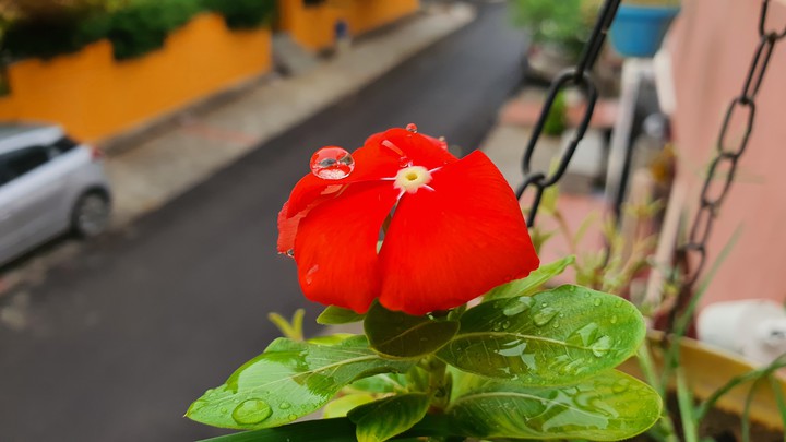 rain drop