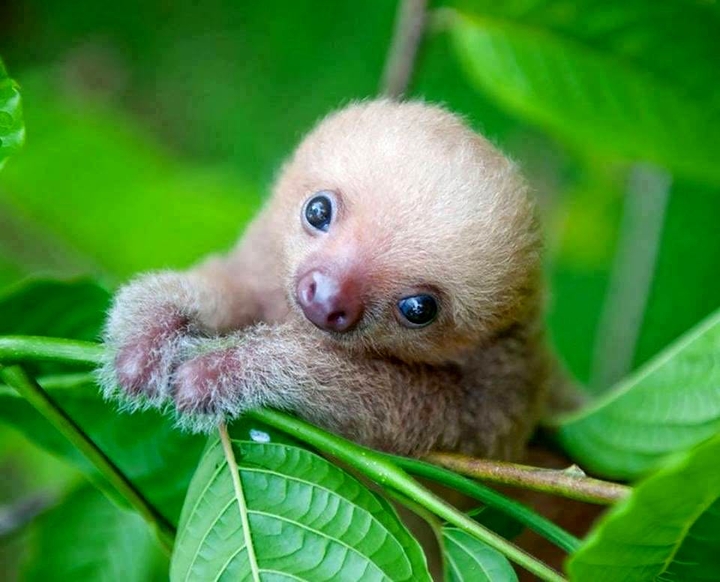 very cute