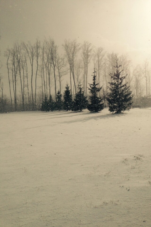 Falling Snow