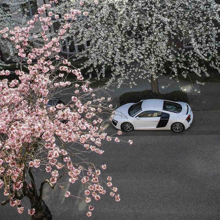 happy spring