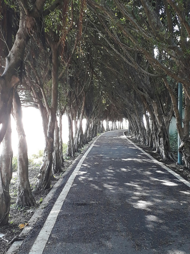 country road 鄉間小路