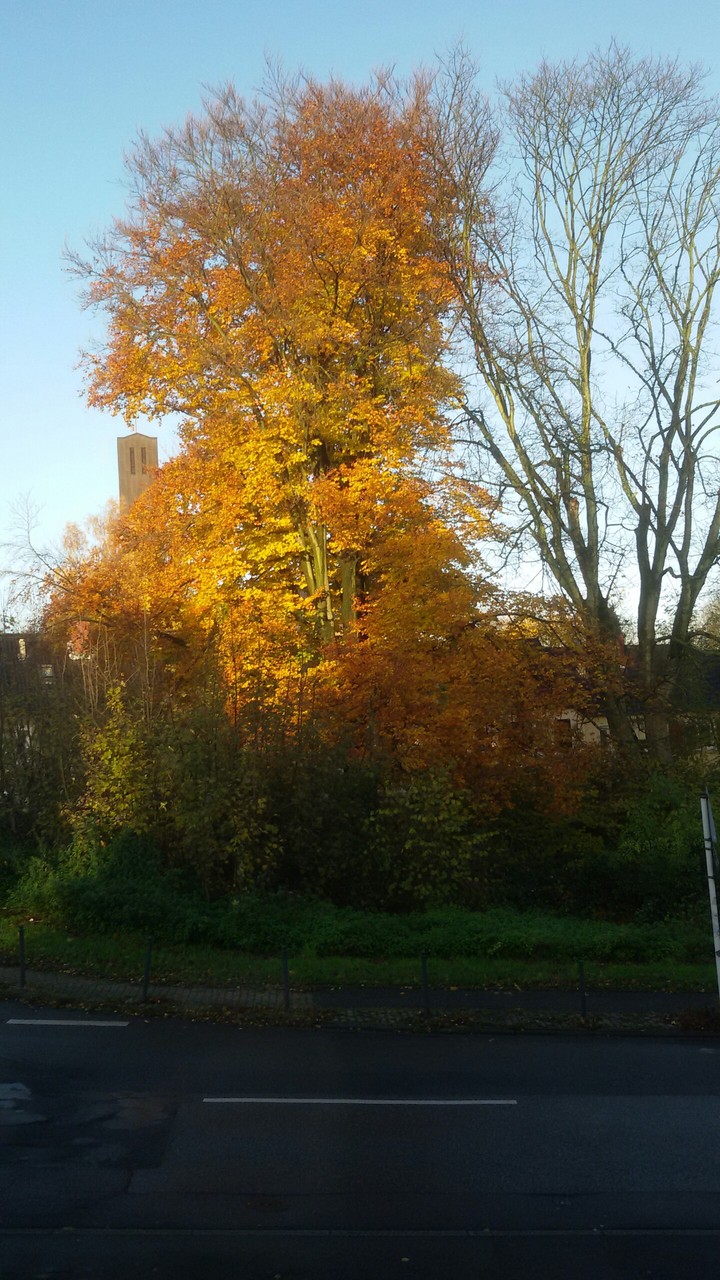 Herbst