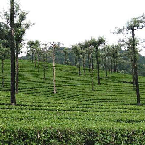 karnataka nature