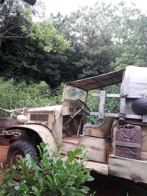 jungle in Disneyland