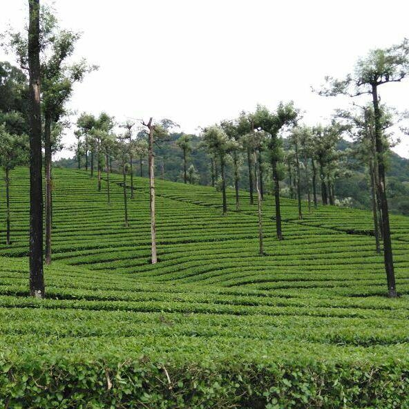 karnataka nature