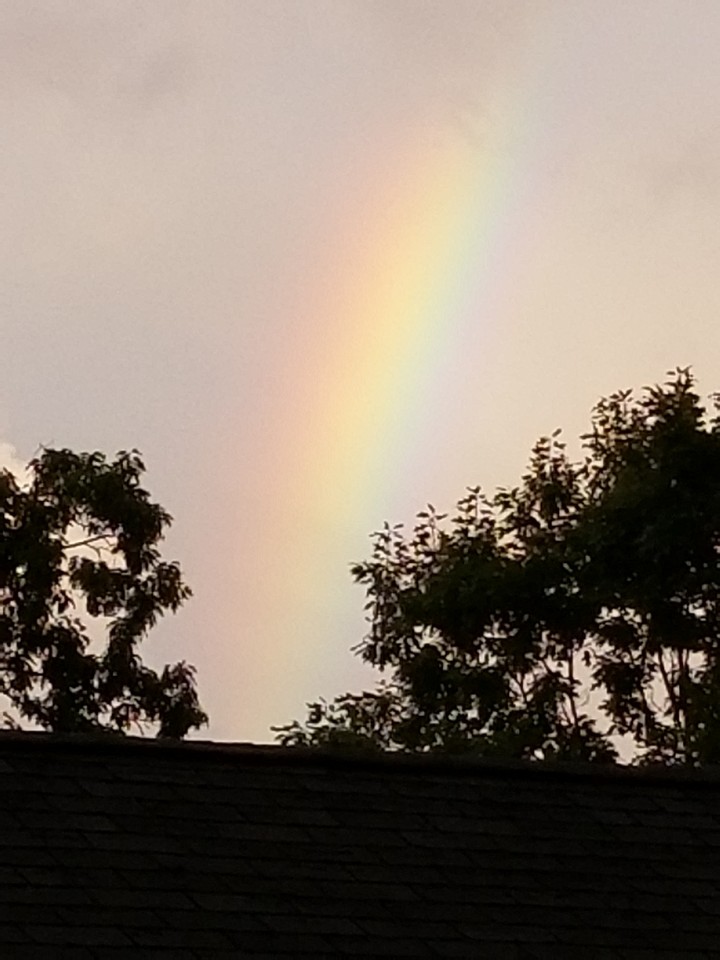rainbow