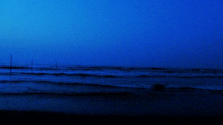 wild waves