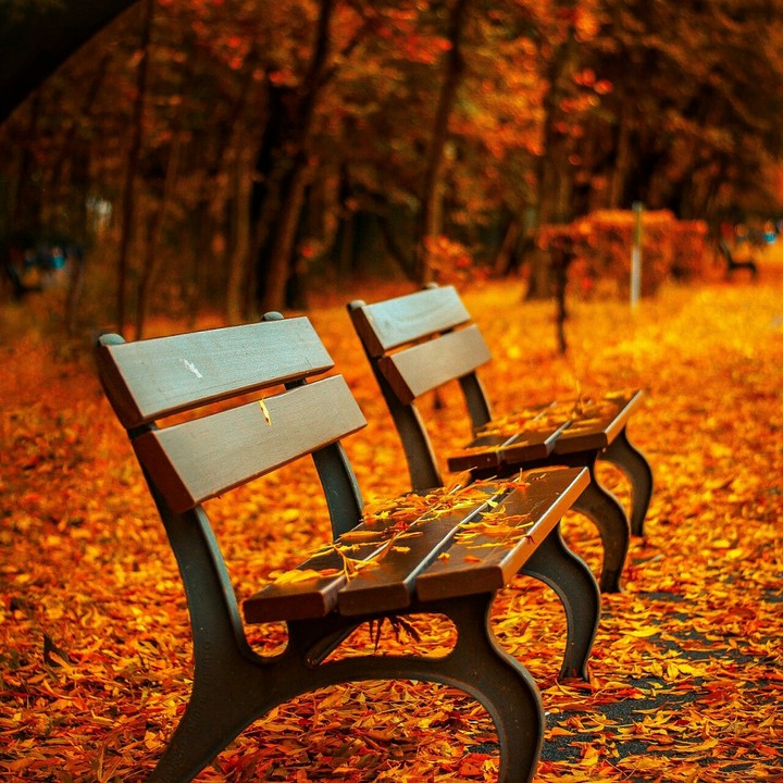 nature