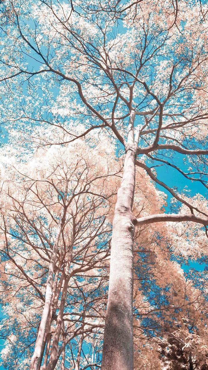 so beautiful