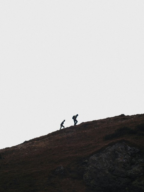 sfondi silhouette, bedrock