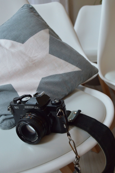 Stylistic Analog Camera