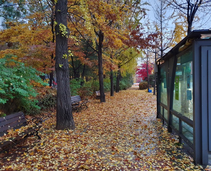 가을풍경