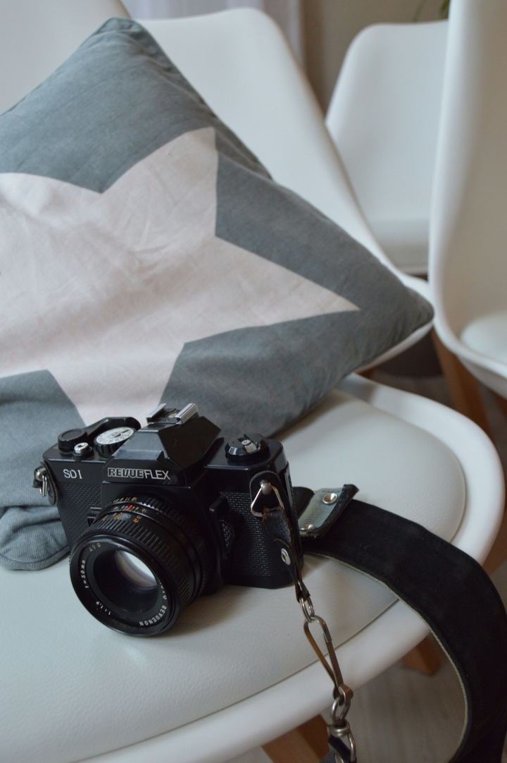 Stylistic Analog Camera