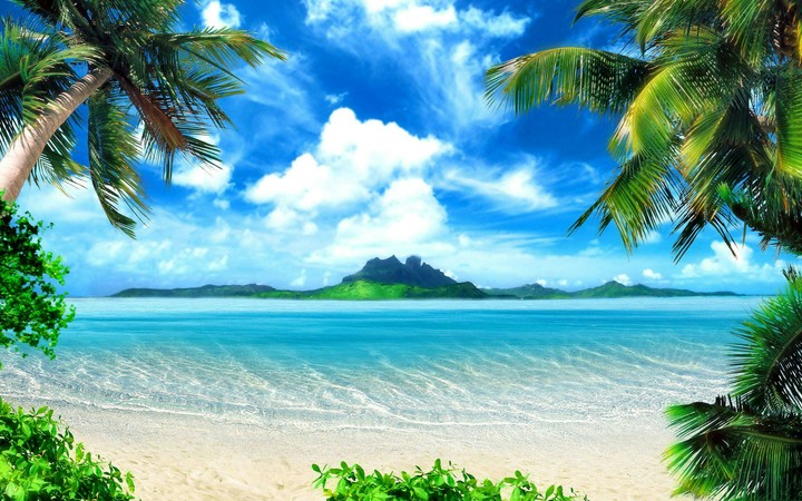 Paradise