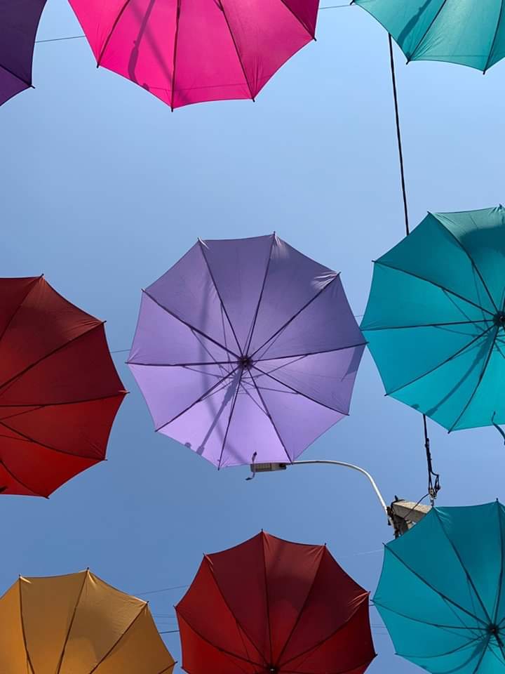umbrella